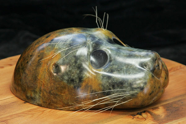 Harbour Seal